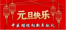 2025喜迎元旦特别报道 著名手部点穴疗法创始人---赵耀成