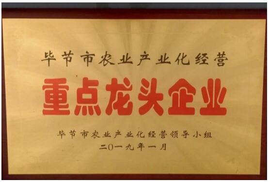 携手并进共绘南瓜产业金色梦  农耀农业与贵州乡亲共创乡村振兴新篇章