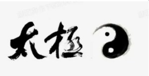 2025喜迎元旦特别报道 当代太极文化传播大使、陈氏太极传承人---张敏娜