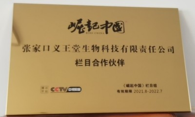 妙手回春医顽疾 誉满杏林济苍生 记著名中医专家---王平