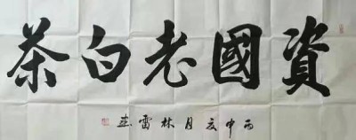 中国当代著名书法家魏敏为猎鹰护卫俱乐部题字