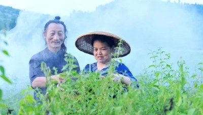 欧阳江南与黄晓莉：传承与梦想的传奇人生