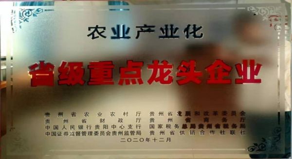 踔厉奋斗 勇毅前行 织金农耀农业开发有限公司董事长---曾爱生