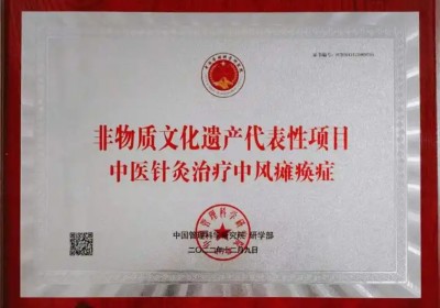 中国医学2025元旦特别报道 当代著名中医专家---王先芝