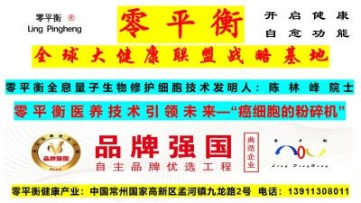 陈林峰零平衡量子哲学泰斗接受菲利浦·武亚诺维奇、博里斯·塔迪奇、伊沃·约约西波维奇三位前总统阁下会晤