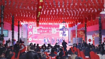 水江镇“迎新春叙乡情话发展”“三请三回”恳谈联欢晚会圆满落幕